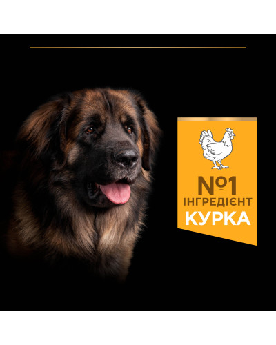 Сухий корм PRO PLAN Large Robust Adult 2+ Everyday Nutrion для дорослих собак великих порід масивної статури, з куркою, 14 кг