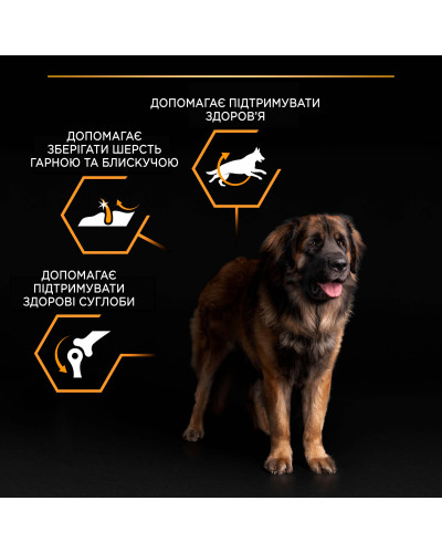 Сухий корм PRO PLAN Large Robust Adult 2+ Everyday Nutrion для дорослих собак великих порід масивної статури, з куркою, 14 кг