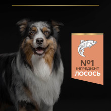 Сухий корм PRO PLAN Medium Adult  1+ Sensitive Skin для дорослих собак середніх порід, з чутливою шкірою, з лососем, 14 кг
