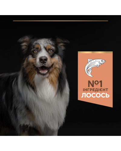 Сухий корм PRO PLAN Medium Adult  1+ Sensitive Skin для дорослих собак середніх порід, з чутливою шкірою, з лососем, 14 кг