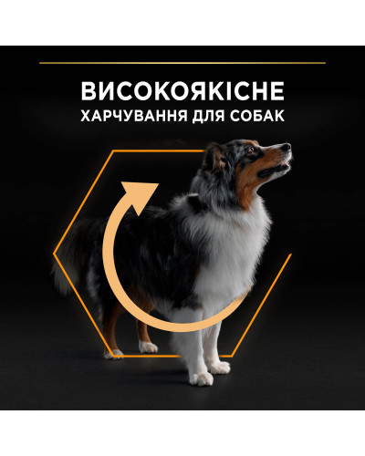 Сухий корм PRO PLAN Medium Adult 1+ Everyday Nutrion для дорослих собак середніх порід, з куркою, 14 кг