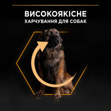 Сухий корм PRO PLAN Large Robust Adult 2+ Everyday Nutrion для дорослих собак великих порід масивної статури, з куркою, 16,5 кг