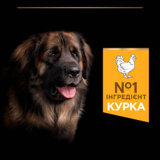 Сухий корм PRO PLAN Large Robust Adult 2+ Everyday Nutrion для дорослих собак великих порід масивної статури, з куркою, 16,5 кг