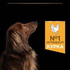 Сухий корм PRO PLAN Small and Mini Adult 1+ Everyday Nutrion для дорослих собак дрібних порід, з куркою, 700 г