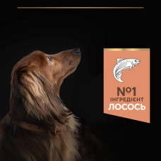 Сухий корм PRO PLAN Small and Mini Adult 1+ Sensitive Skin для дорослих собак дрібних порід, з чутливою шкірою, з лососем, 700 г