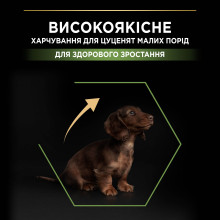 Сухой корм PRO PLAN Small and Mini Puppy 1 Healthy Start для щенков мелких пород, с курицей, 7 кг