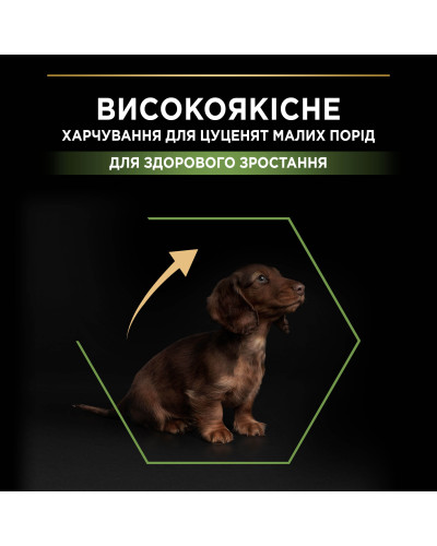 Сухой корм PRO PLAN Small &amp;amp;amp; Mini Puppy 1 Healthy Start для щенков мелких пород, с курицей, 7 кг