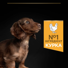 Сухий корм PRO PLAN Small and Mini Puppy 1 Healthy Start для цуценят дрібних порід, з куркою, 7 кг