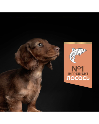 Сухий корм PRO PLAN Small&amp;amp;amp;Mini Puppy 1 Sensitive Skin  для цуценят дрібних порід, з чутливою шкірою, з лососем, 3 кг