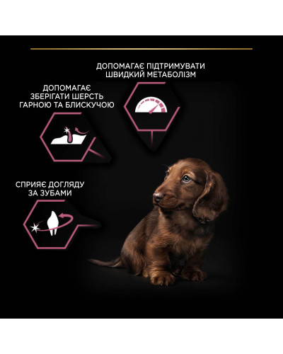 Сухий корм PRO PLAN Small&amp;amp;amp;Mini Puppy 1 Sensitive Skin  для цуценят дрібних порід, з чутливою шкірою, з лососем, 3 кг