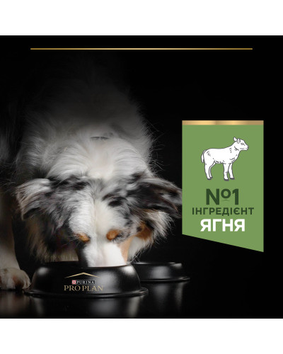 Сухий корм PRO PLAN Medium Adult 1+ Sensitive Digestion для дорослих собак середніх порід, з чутливим травленням, з ягням, 14 кг