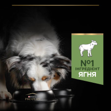 Сухий корм PRO PLAN Medium Adult 1+ Sensitive Digestion для дорослих собак середніх порід, з чутливим травленням, з ягням, 16,5 кг
