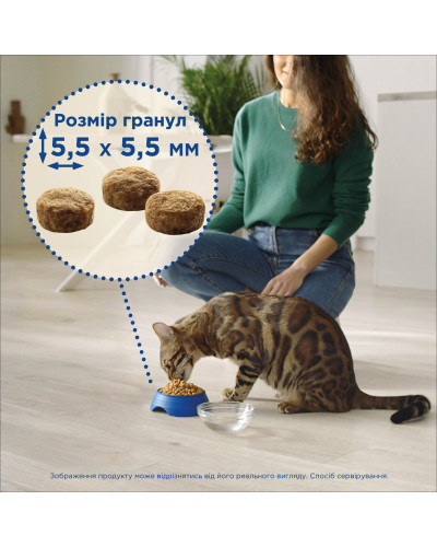 Сухий корм CAT CHOW Adult для дорослих котів, з качкою, 15 кг