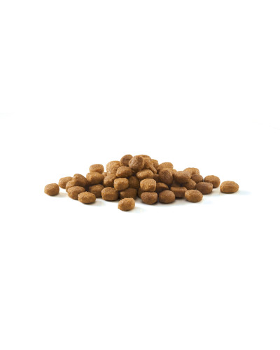 Сухий корм PURINA ONE Indoor для дорослих котів що постійно перебувають у приміщенні, комплекс Bifensis, з індичкою, 800 г