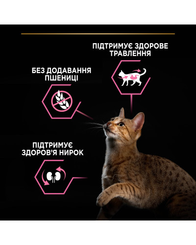 Сухий корм PRO PLAN Adult 1+ Delicate Digestion для дорослих котів з чутливим травленням та вибагливих до їжі, з ягням, 3 кг