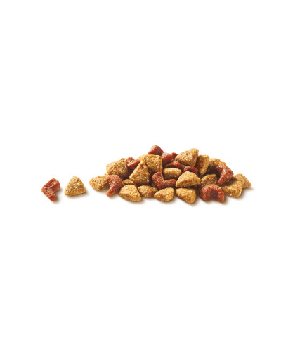 Сухий корм PURINA ONE Adult Dual Nature Spirulina для дорослих котів, з куркою, 750 г