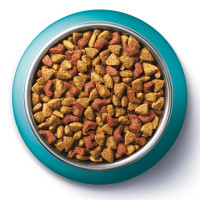 Сухий корм PURINA ONE Adult Dual Nature Spirulina для дорослих котів, з куркою, 1,4 кг