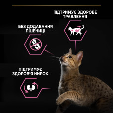 Сухой корм PRO PLAN Sterilised Adult 1+ Delicate Digestion для взрослых стерилизованных кошек с чувствительным пищеварением, с курицей, 400 г