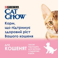 Вологий корм CAT CHOW Kitten для кошенят, шматочки в желе, з індичкою та цукіні, 85 г