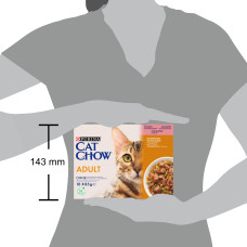 Вологий корм CAT CHOW Adult для дорослих котів, шматочки в желе, з лососем та зеленою квасолею, 10x85 г