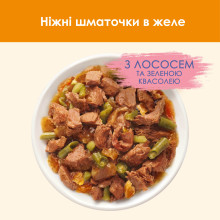Вологий корм CAT CHOW Adult для дорослих котів, шматочки в желе, з лососем та зеленою квасолею, 10x85 г