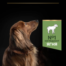 Сухий корм PRO PLAN Small and Mini Adult 1+ Sensitive Digestion, з чутливим травленням, з ягням, 3 кг
