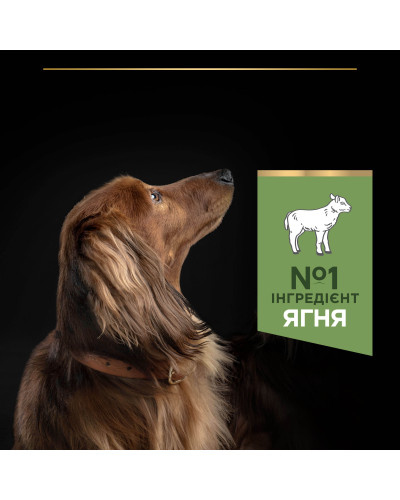 Сухой корм PRO PLAN Small&amp;amp;Mini Adult 1+ Sensitive Digestion для взрослых собак мелких пород, с чувствительным пищеварением, с ягненком, 700 г