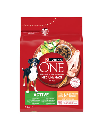 Сухий корм PURINA ONE MedMax Active для дорослих собак середніх і великих порід >10 кг з високою активністю, з куркою та рисом, 2.5 кг