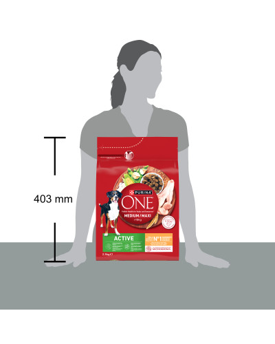 Сухий корм PURINA ONE MedMax Active для дорослих собак середніх і великих порід >10 кг з високою активністю, з куркою та рисом, 2.5 кг
