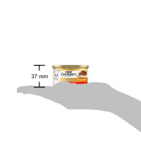 Вологий корм GOURMET Gold 