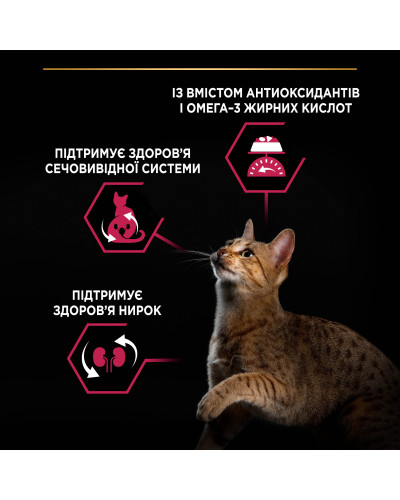 Сухий корм PRO PLAN Sterilised Adult 1+ Savoury Duo для дорослих стерилізованих котів, з качкою та печінкою, 10 кг