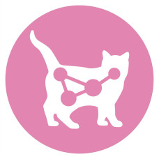 Вологий корм PURINA ONE Junior для кошенят, шматочки в соусі, з лососем та морквою, 85 г