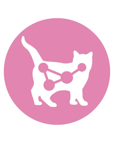 Вологий корм PURINA ONE Junior для кошенят, шматочки в соусі, з лососем та морквою, 85 г