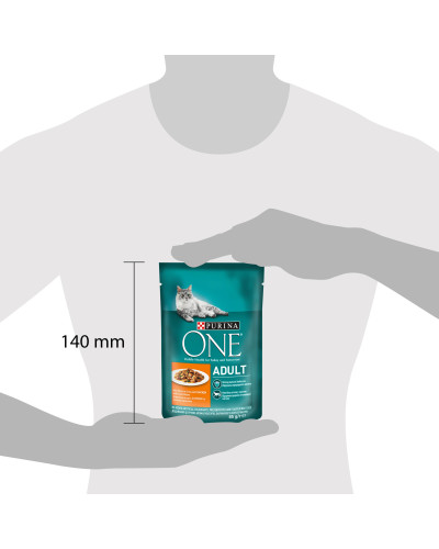 Вологий корм PURINA ONE Adult для дорослих котів, шматочки в соусі, з куркою та зеленою квасолею, 85 г