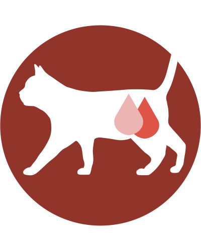 Вологий корм PURINA ONE Sterilcat для дорослих стерилізованих котів, шматочки в соусі, з індичкою та зеленою квасолею, 85 г