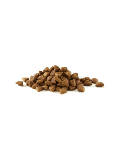 Сухий корм PURINA ONE Sterilcat для дорослих стерилізованих котів, комплекс Bifensis, з лососем, 1,5 кг