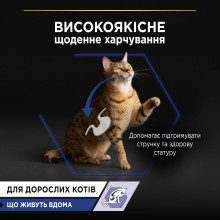 Вологий корм PRO PLAN Adult Indoor для дорослих котів що живуть вдома, шматочки у підливці, з лососем, 85 г
