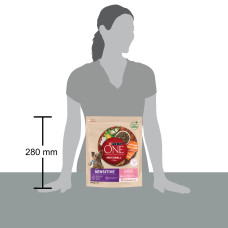 Сухой корм PURINA ONE Mini/Small Sensitive для взрослых собак мелких пород, с чувствительным пищеварением, с рисом и лососем, 800 г