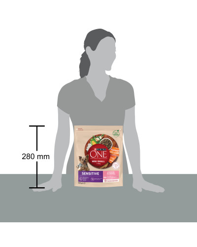 Сухой корм PURINA ONE Mini/Small Sensitive для взрослых собак мелких пород, с чувствительным пищеварением, с рисом и лососем, 800 г
