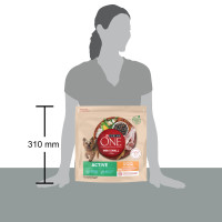 Сухой корм PURINA ONE Mini/Small Active для взрослых собак мелких пород, с повышенной активностью, курицей и рисом, 1,5 кг