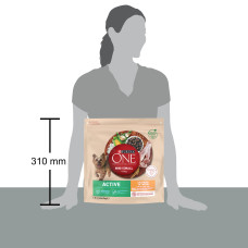 Сухой корм PURINA ONE Mini/Small Active для взрослых собак мелких пород, с повышенной активностью, курицей и рисом, 1,5 кг