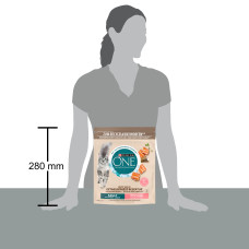 Сухий корм PURINA ONE Grain Free (Грейн Фрі) беззерновий для дорослих котів, комплекс Bifensis, з лососем, 600 г