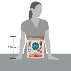 Сухий корм PURINA ONE Grain Free (Грейн Фрі) беззерновий для дорослих стерилізованих котів, комплекс Bifensis, з яловичиною, 600 г
