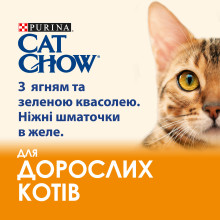 Вологий корм CAT CHOW Adult для дорослих котів, шматочки в желе, з ягням та зеленою квасолею, 85 г