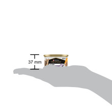 Вологий корм PRO PLAN Kitten Healthy Start для кошенят, мус, з куркою, 85 г
