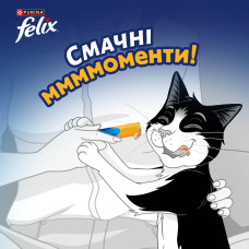 Вологий додатковий корм FELIX Смачні моменти для дорослих котів, з куркою, 4х10 г
