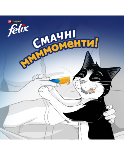 Влажный дополнительный корм FELIX Вкусные моменты для взрослых кошек, с курицей, 4х10 г