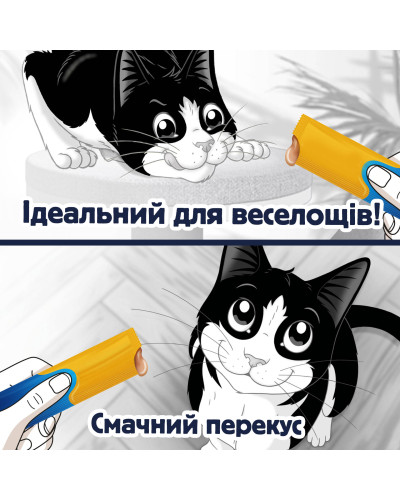 Влажный дополнительный корм FELIX Вкусные моменты для взрослых кошек, с курицей, 4х10 г