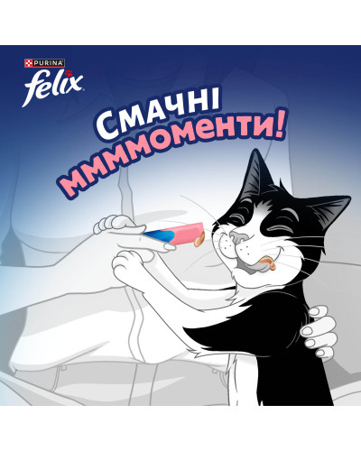 Влажный дополнительный корм FELIX Вкусные моменты для взрослых кошек, с лососем, 4х10 г
