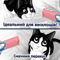 Влажный дополнительный корм FELIX Вкусные моменты для взрослых кошек, с лососем, 4х10 г